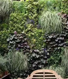 立体绿植墙效果图