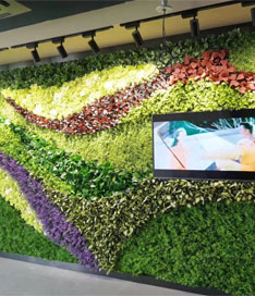 立体绿植墙效果图