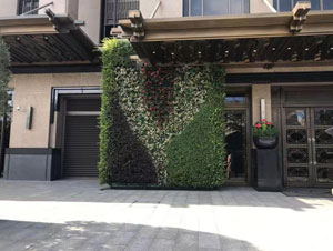 北京某银行大型植物租赁案例