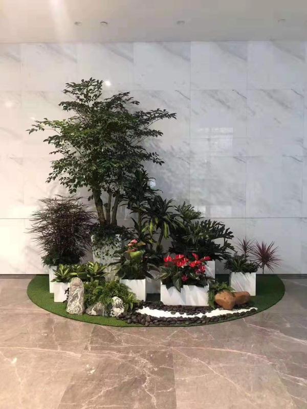 北京花卉植物租摆具体实施方案的五个步骤